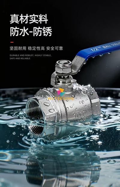 1788187511647929.jpg fountain valves11-2-400-20LOGO_副本.jpg