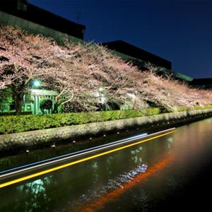 Riverside Nightscape